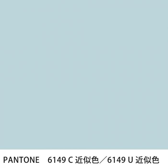  PANTONE 6149C6149U