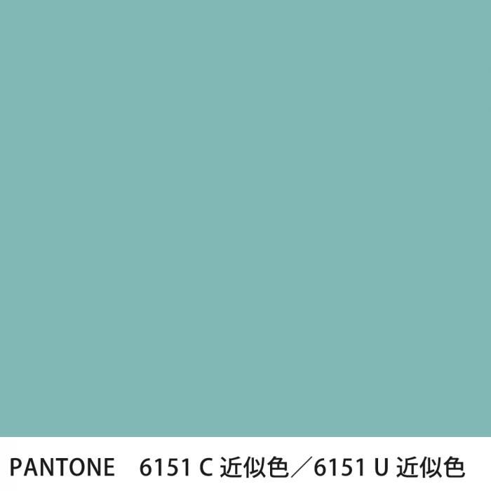  PANTONE 6151C6151U