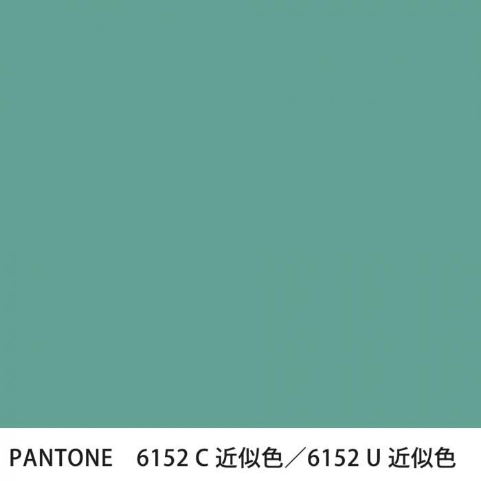  PANTONE 6152C6152U