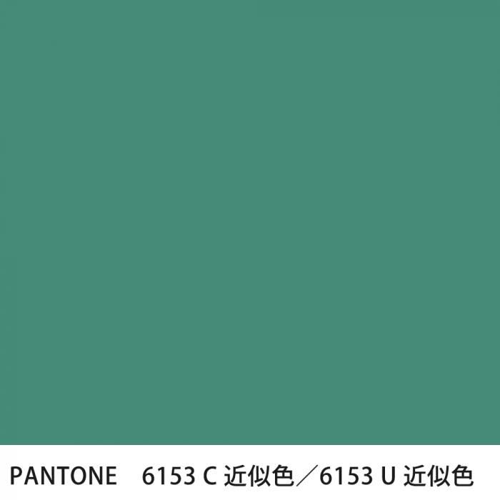  PANTONE 6153C6153U