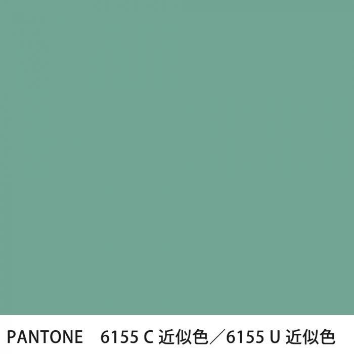  PANTONE 6155C6155U