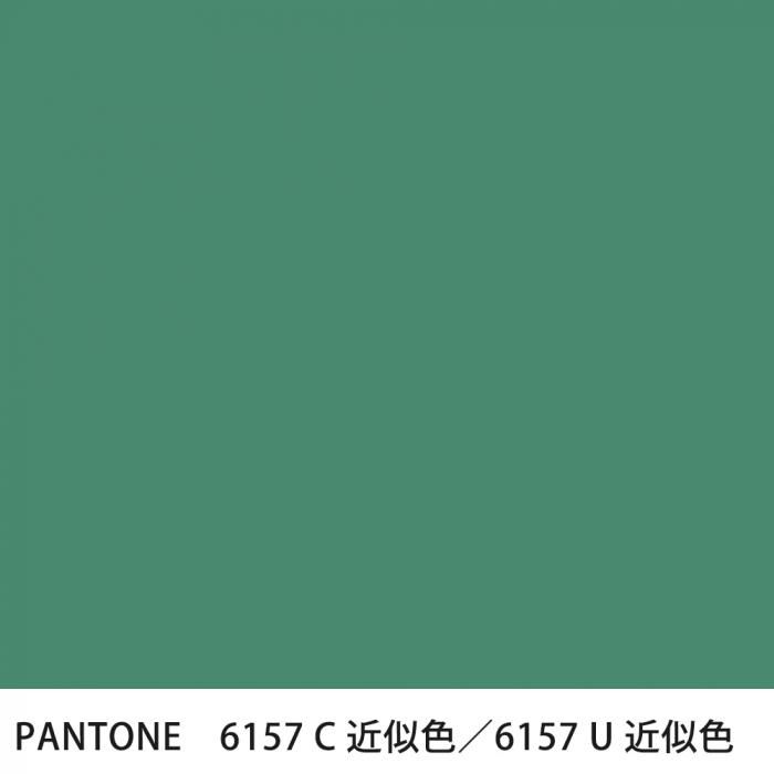  PANTONE 6157C6157U