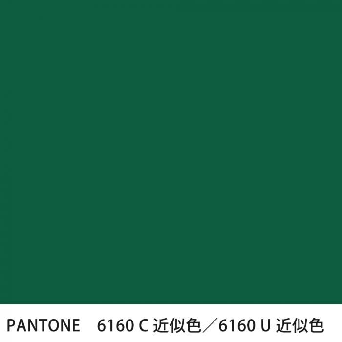  PANTONE 6160C6160U