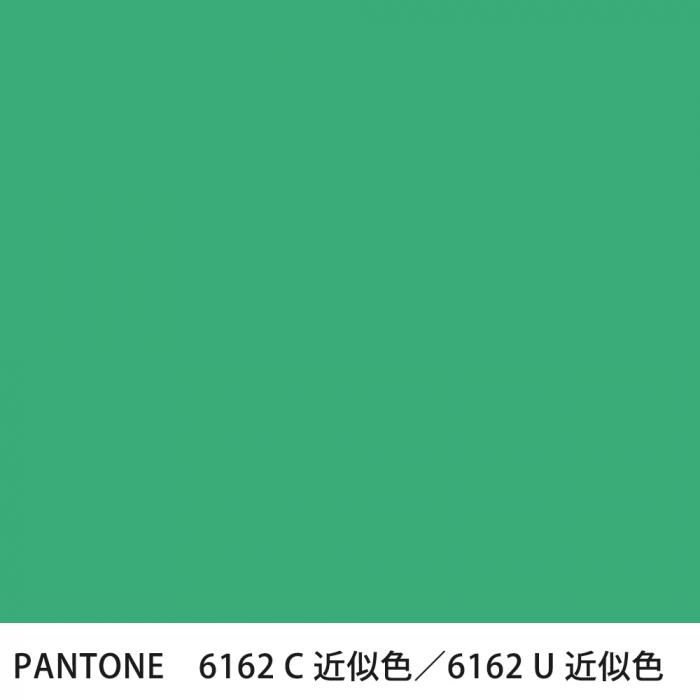  PANTONE 6162C6162U