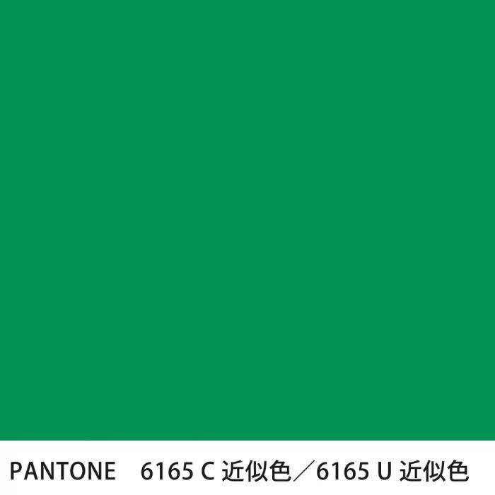  PANTONE 6165C6165U