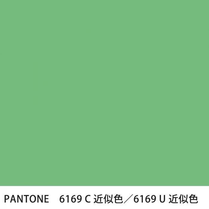  PANTONE 6169C6169U