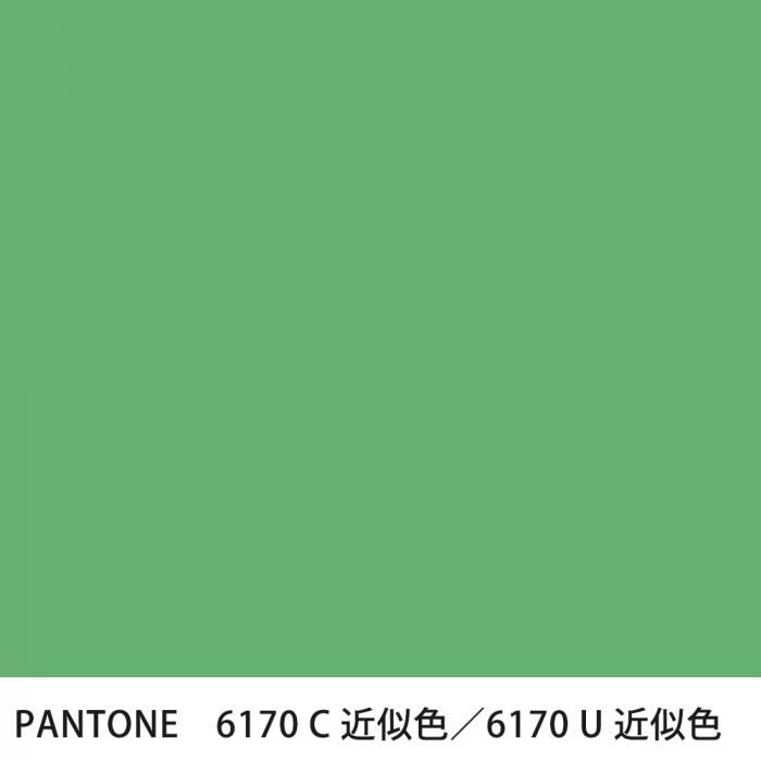  PANTONE 6170C6170U