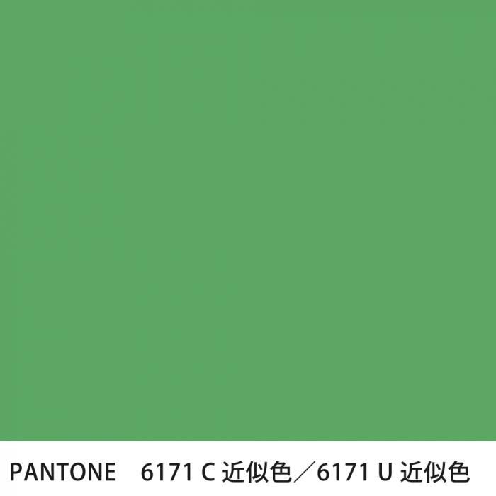  PANTONE 6171C6171U