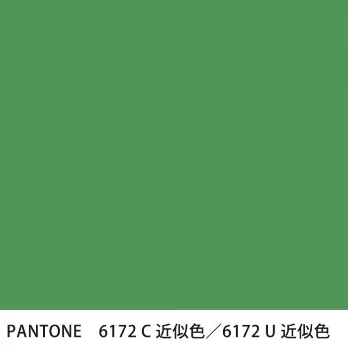  PANTONE 6172C6172U