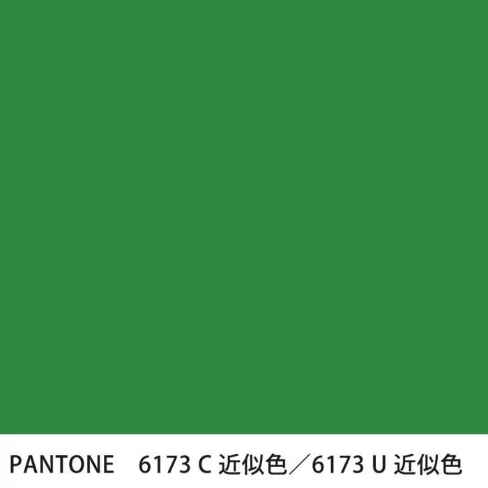  PANTONE 6173C6173U