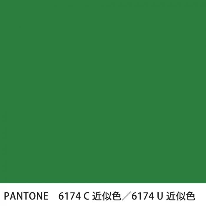  PANTONE 6174C6174U