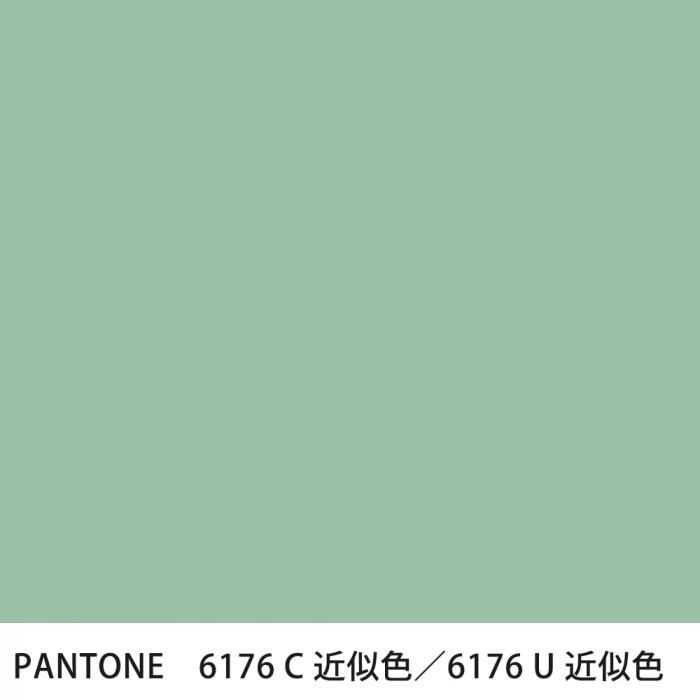  PANTONE 6176C6176U