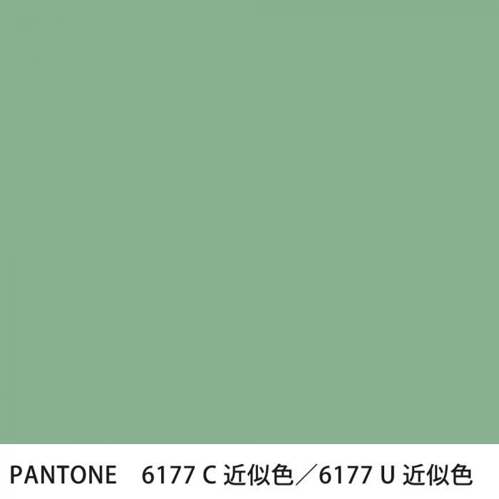  PANTONE 6177C6177U