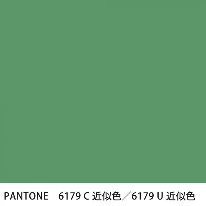  PANTONE 6179C6179U