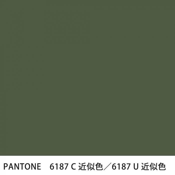  PANTONE 6187C6187U
