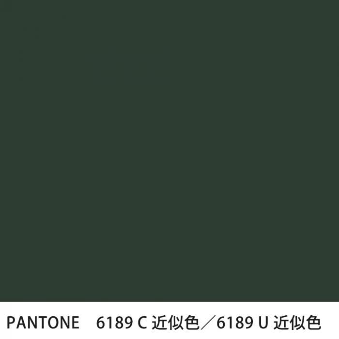  PANTONE 6189C6189U
