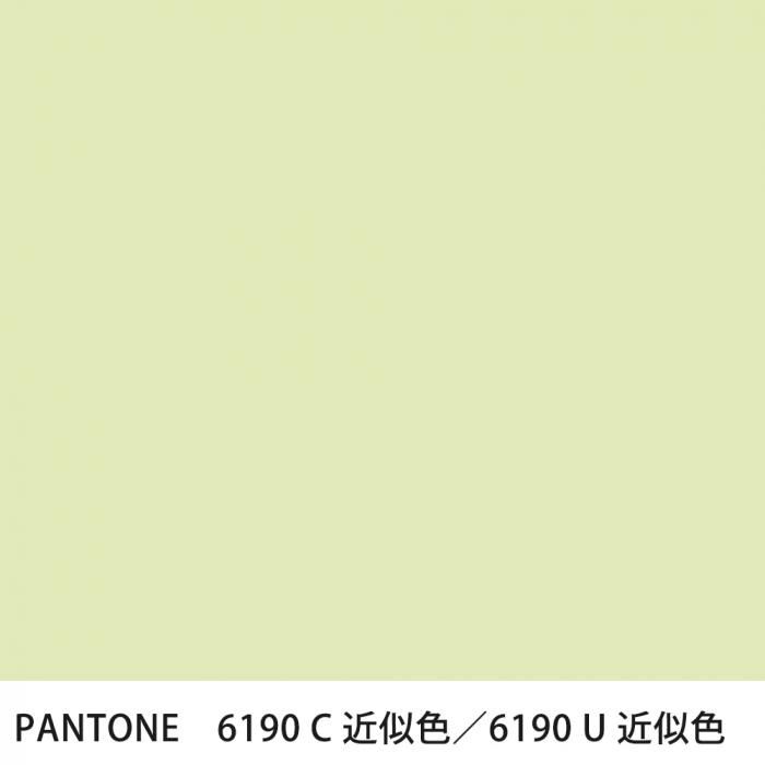  PANTONE 6190C6190U