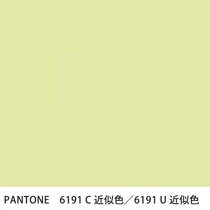  PANTONE 6191C6191U