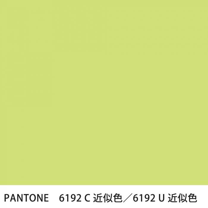  PANTONE 6192C6192U