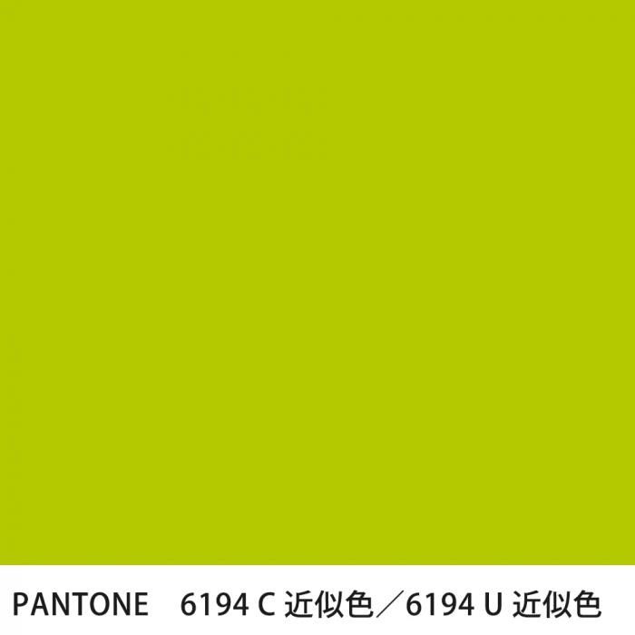  PANTONE 6194C6194U