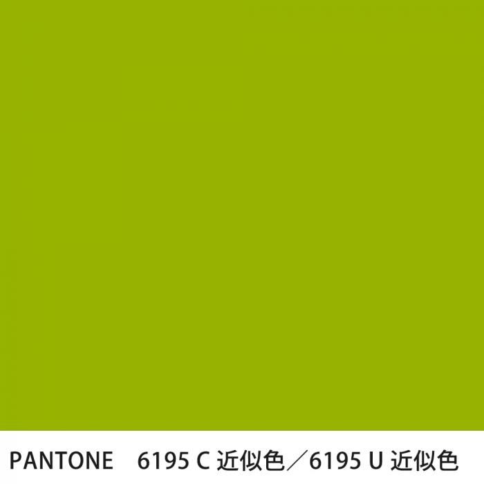  PANTONE 6195C6195U