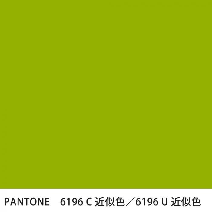 PANTONE 6196C6196U