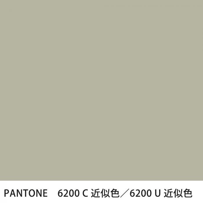  PANTONE 6200C6200U