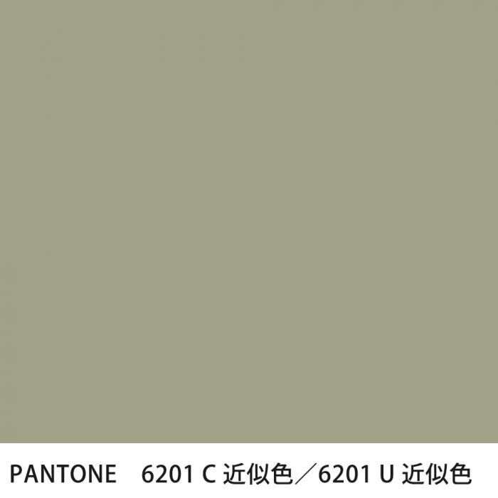  PANTONE 6201C6201U