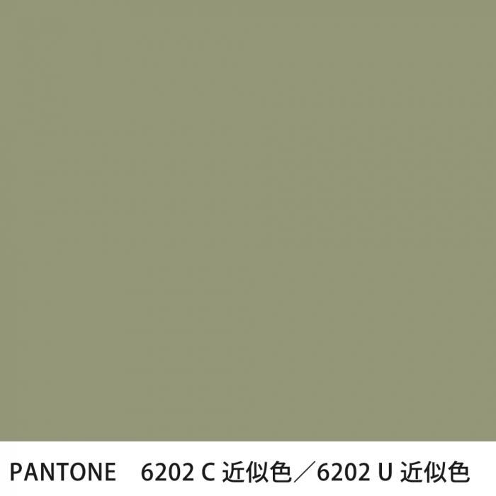  PANTONE 6202C6202U