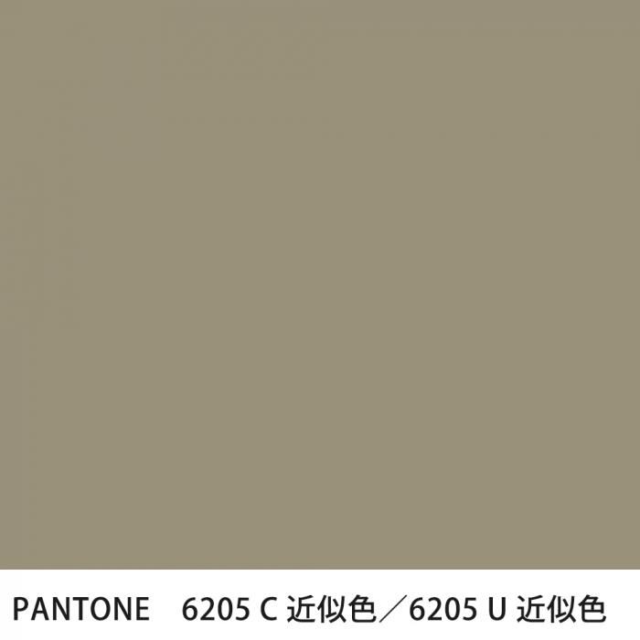  PANTONE 6205C6205U