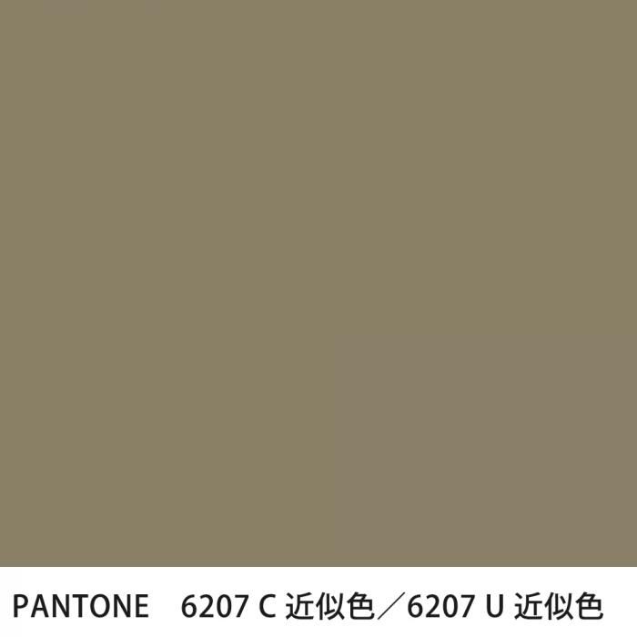  PANTONE 6207C6207U