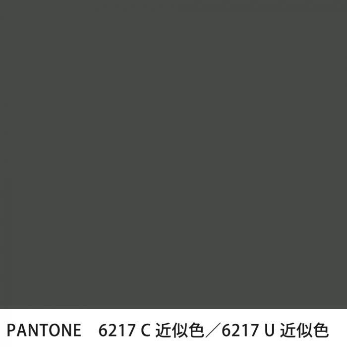  PANTONE 6217C6217U