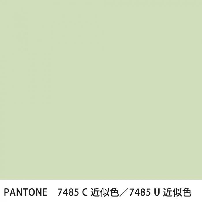  PANTONE 7485C7485U