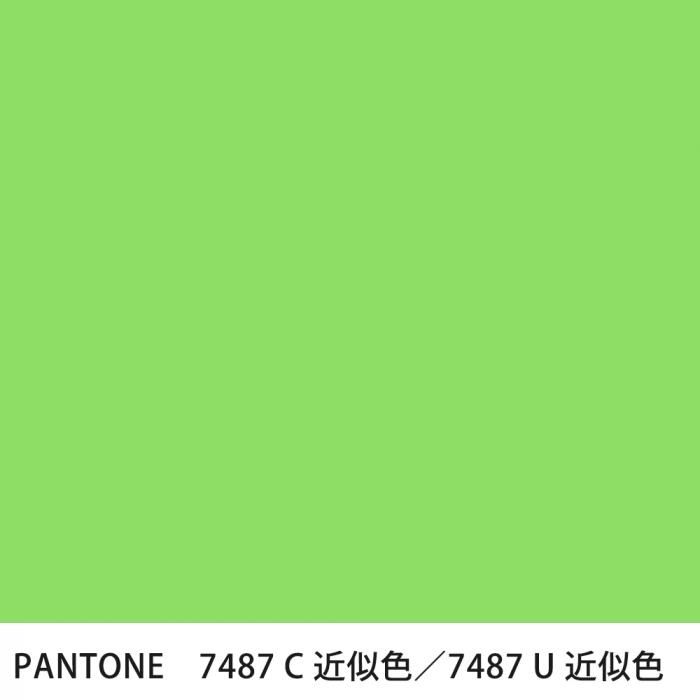  PANTONE 7487C7487U