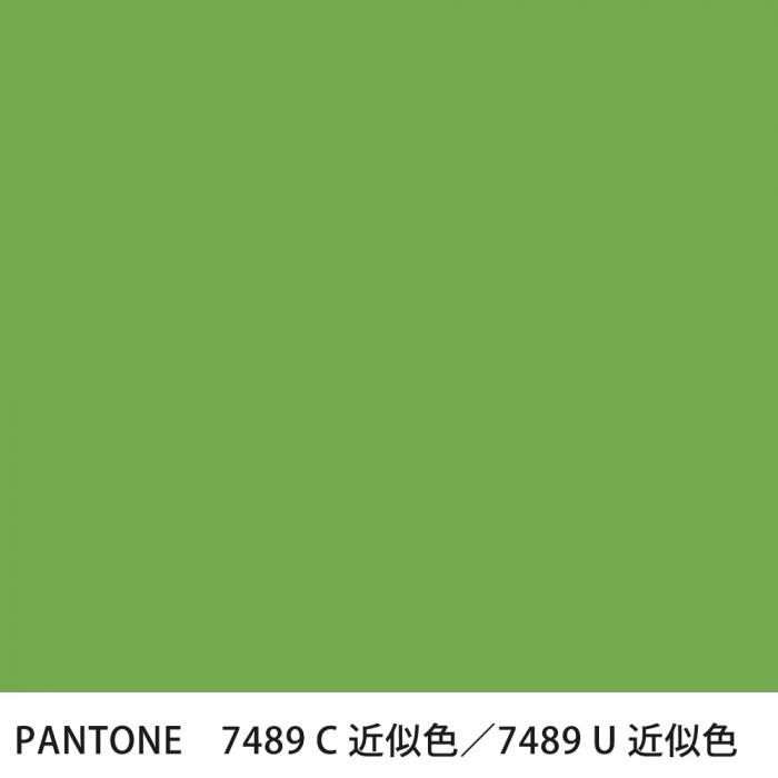  PANTONE 7489C7489U