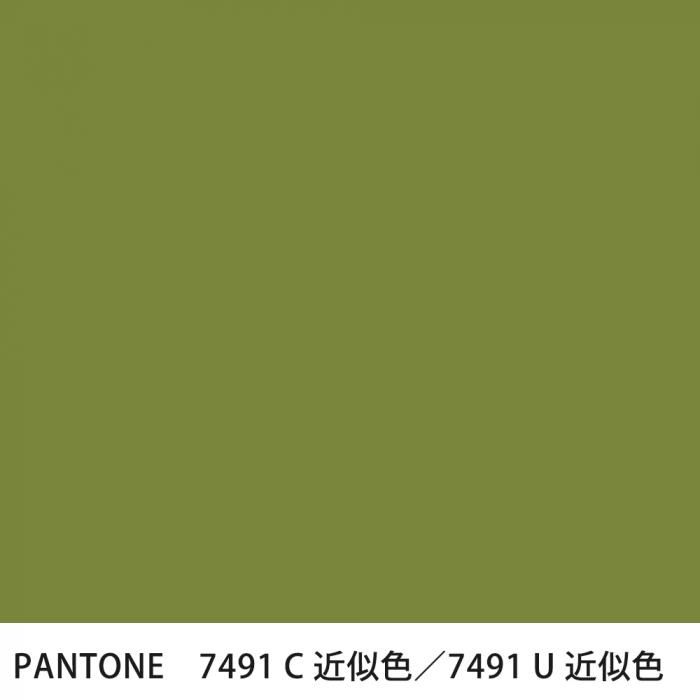  PANTONE 7491C7491U