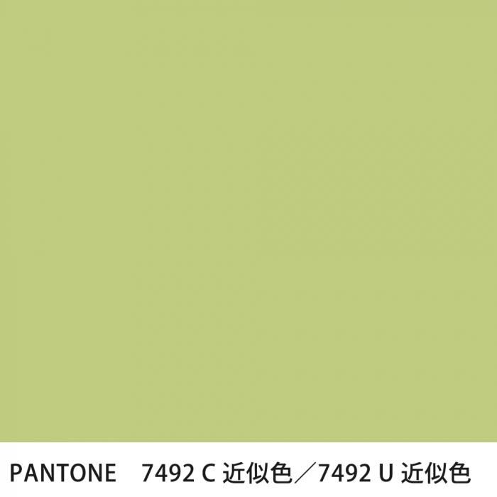  PANTONE 7492C7492U