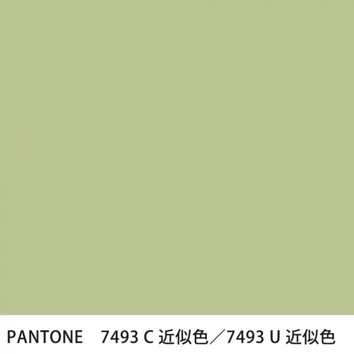  PANTONE 7493C7493U