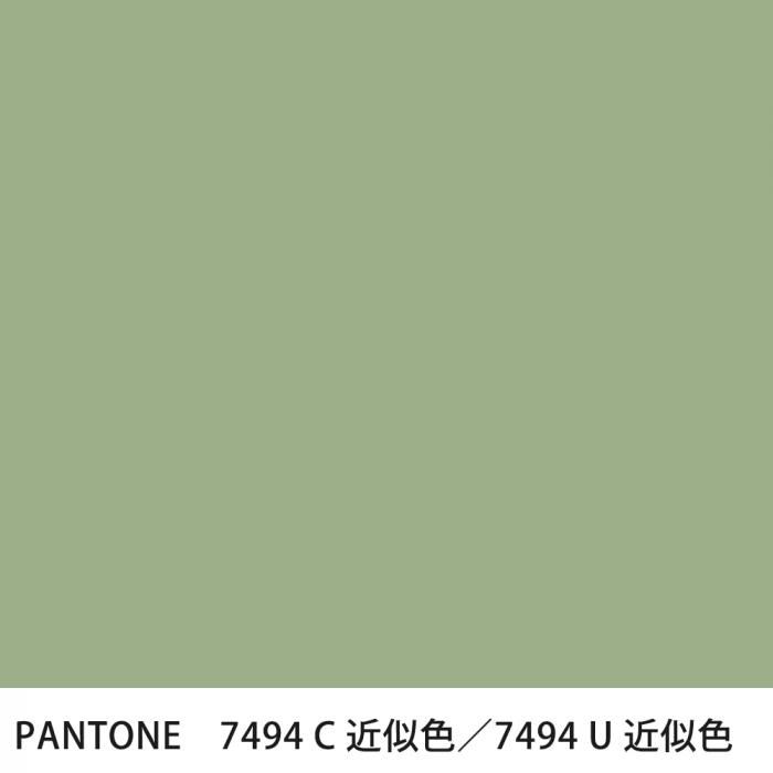  PANTONE 7494C7494U