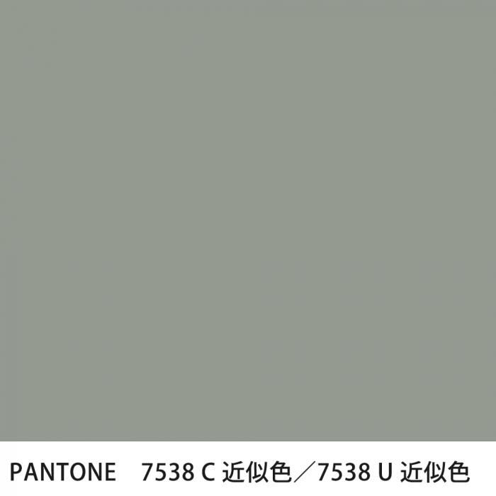  PANTONE 7538C7538U