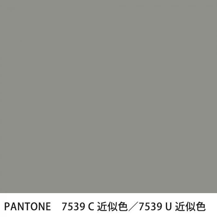  PANTONE 7539C7539U