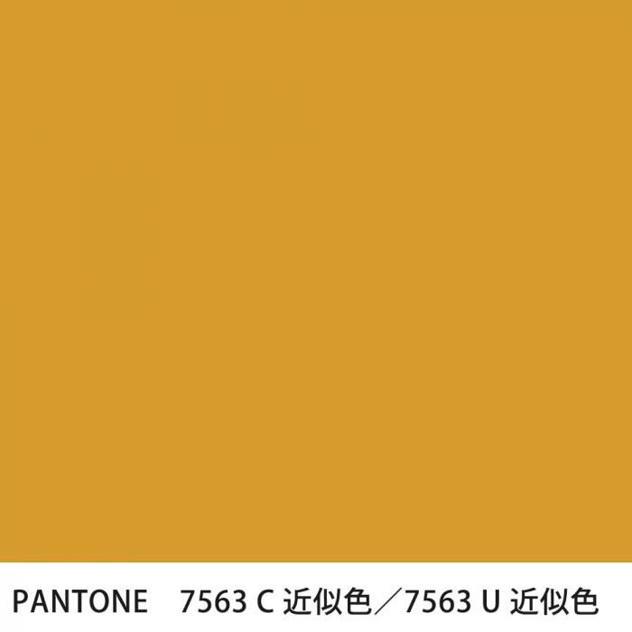  PANTONE 7563C7563U