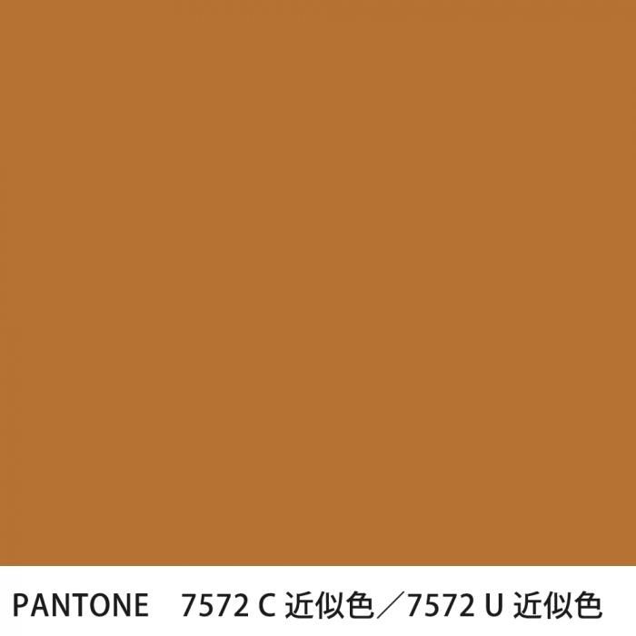  PANTONE 7572C7572U