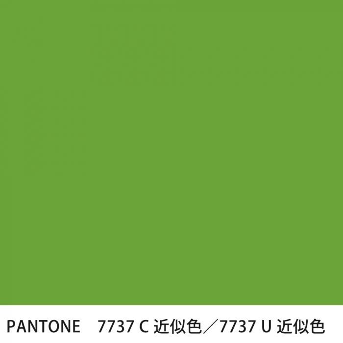  PANTONE 7737C7737U