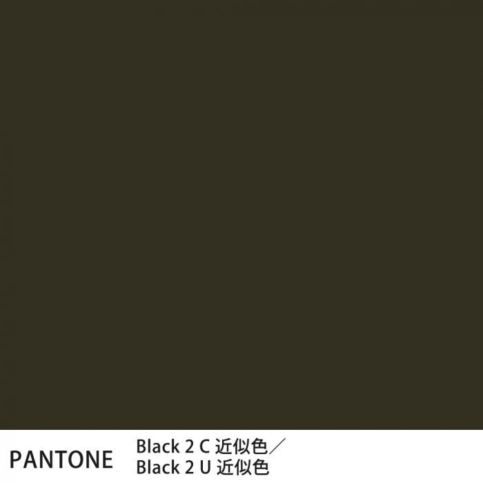  PANTONE Black 2CBlack 2U