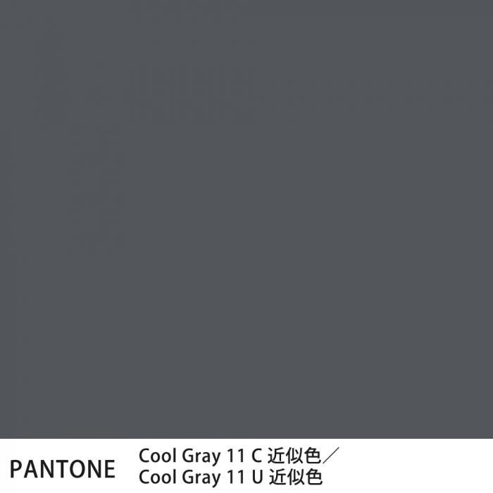  PANTONE Cool Gray 11CCool Gray 11U