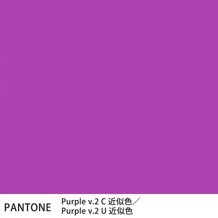  PANTONE Purple v.2CPurple v.2U