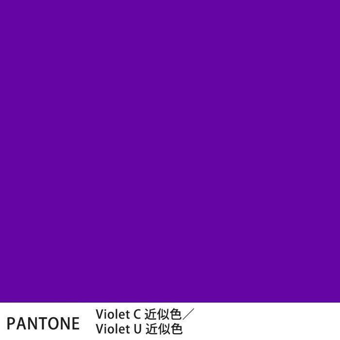  PANTONE VioletCVioletU