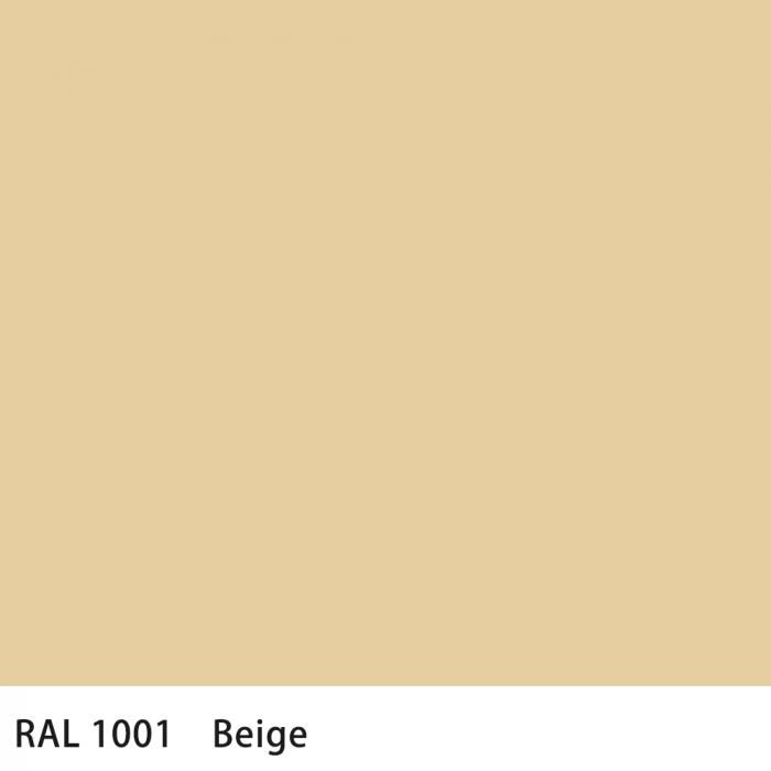   RAL 1001