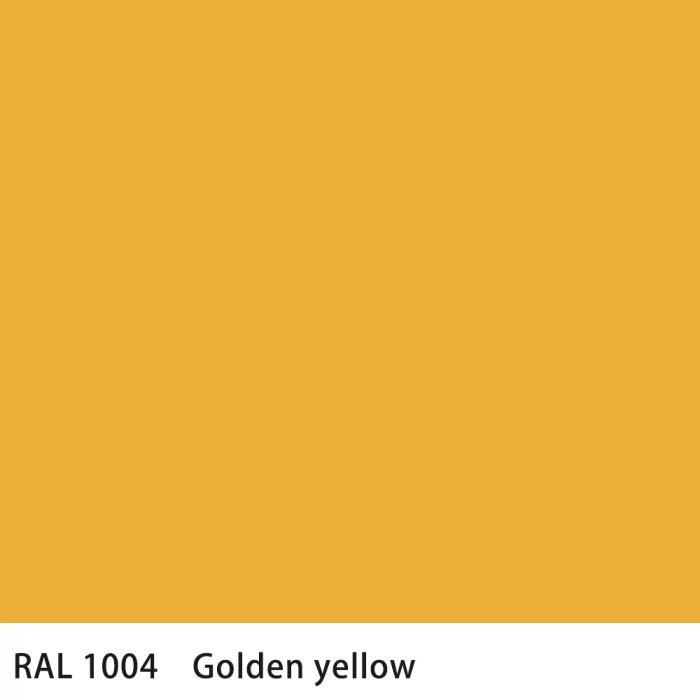   RAL 1004